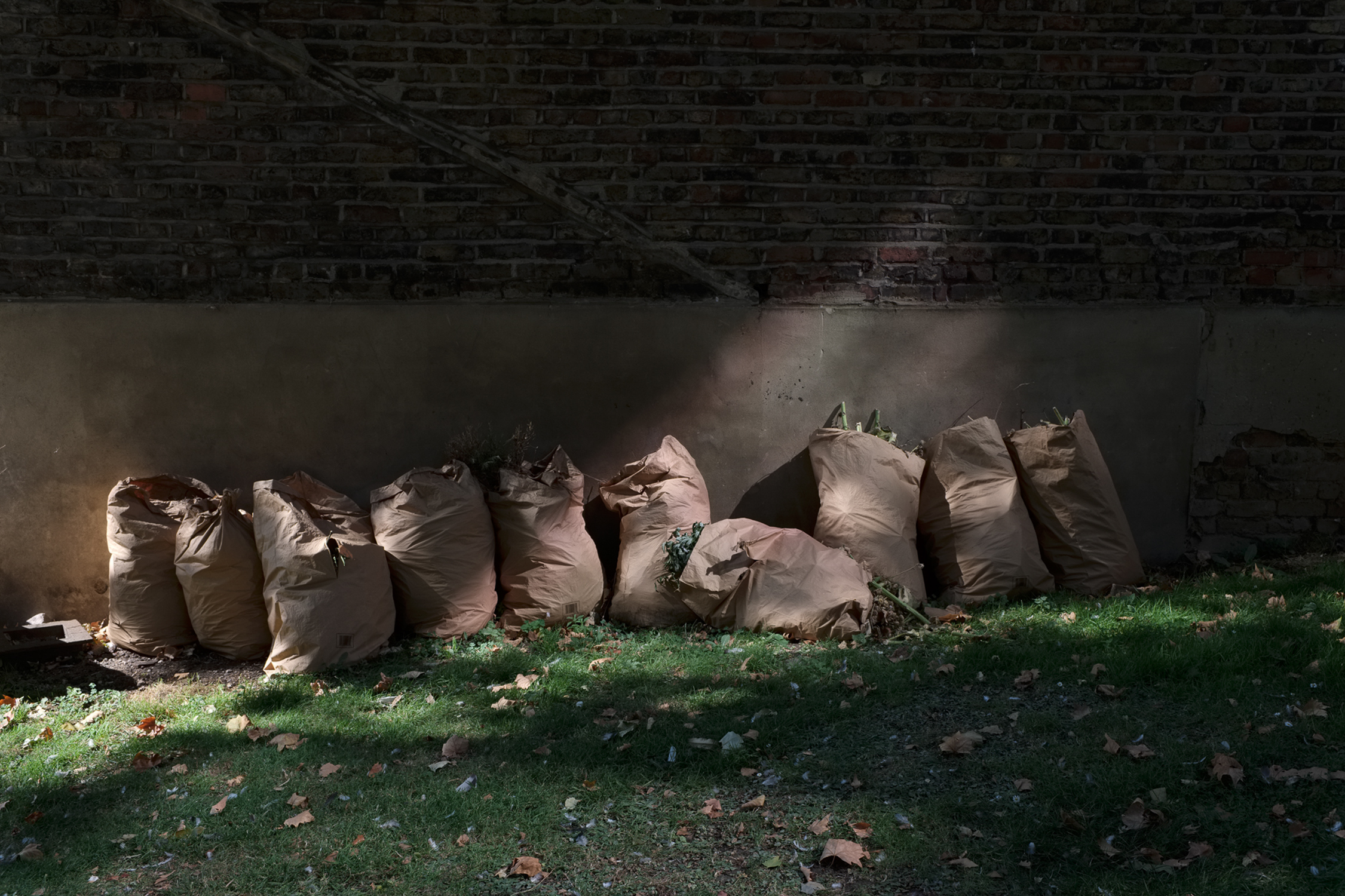 patches of light falling on a row of paperbags filled with garden waste leaning against a wall