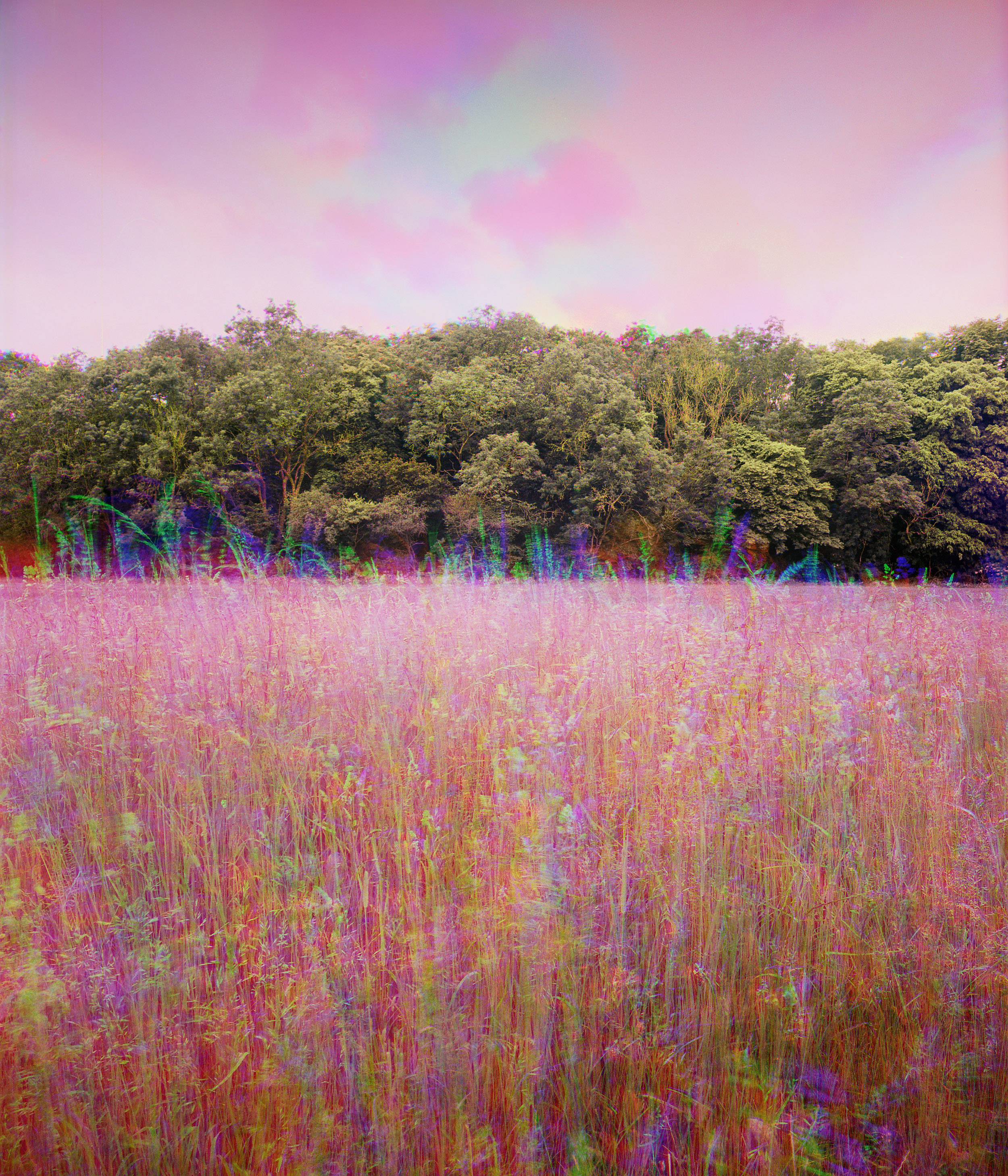 Trichrome photo of moving grass, woodland and colourful sky.