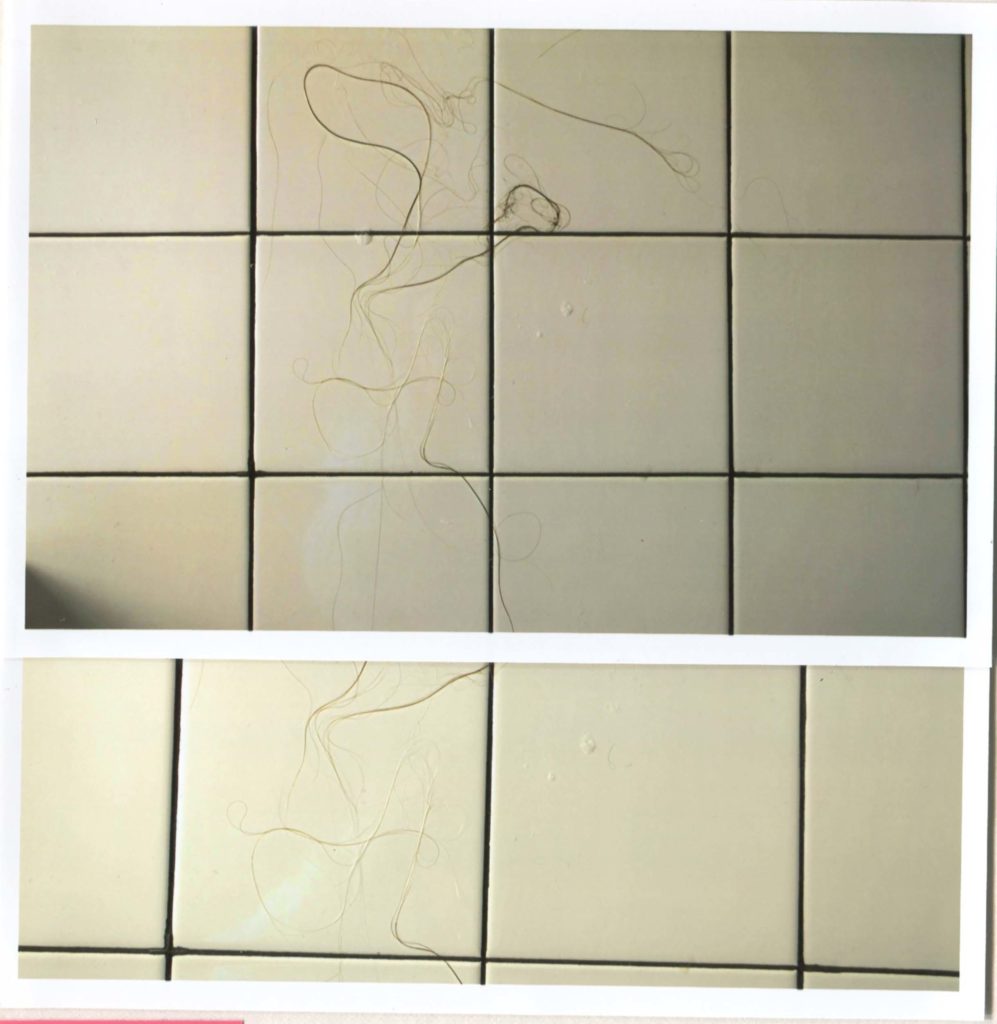 Two 5x7 inch prints, one half covering the other. They show swirls of hair on the tiles after it's fallen out during washing