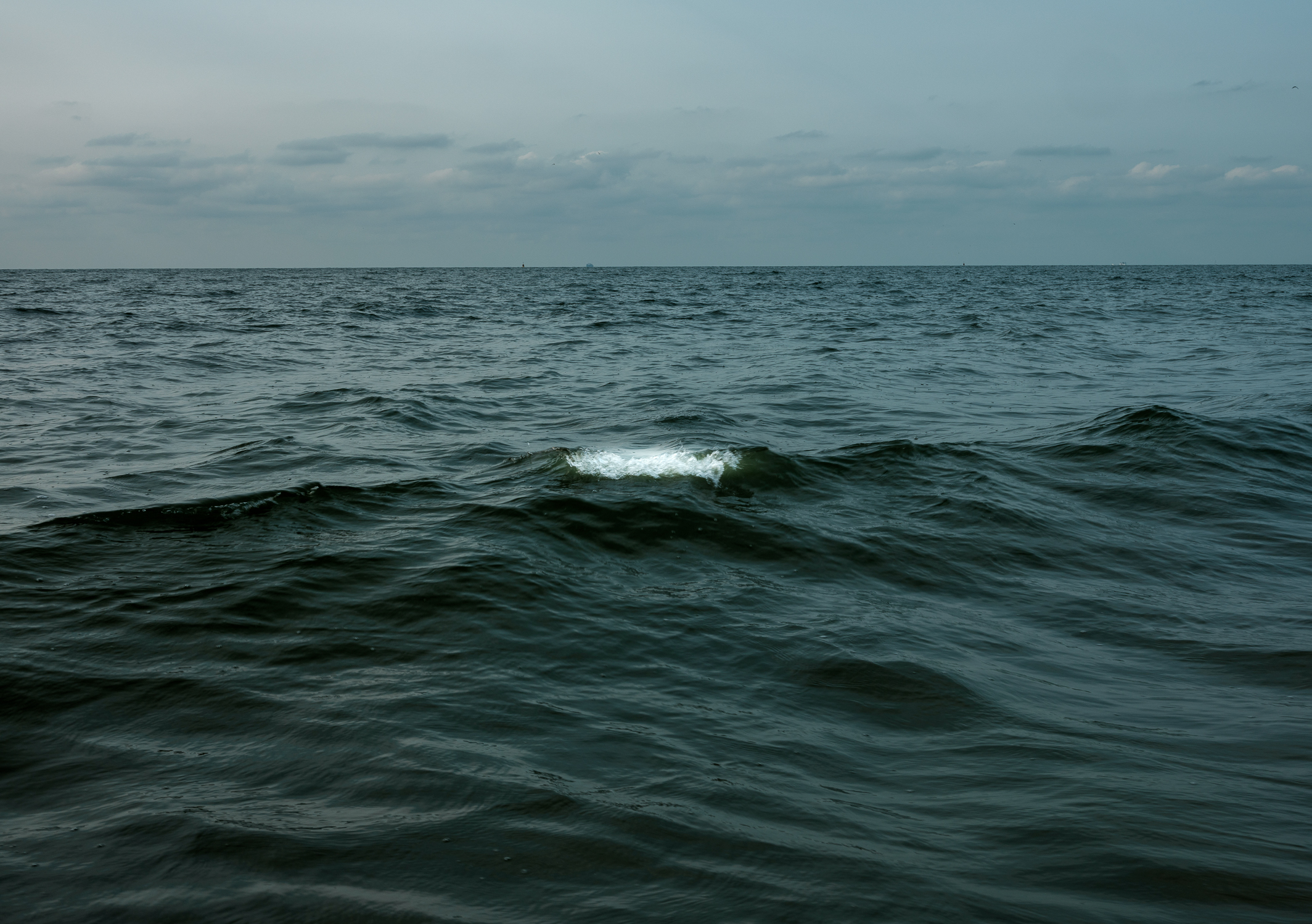 Photo of a single wave in a dark green sea.