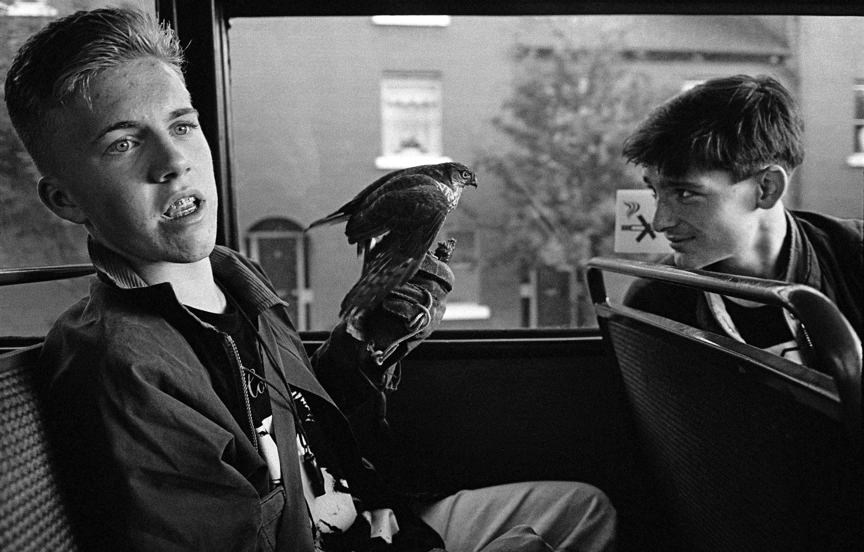 side close-up of 2 boys sitting in a bus, one is holding a bird on his left hand, the other - sitting on the chair in front of him, is looking back at the bird