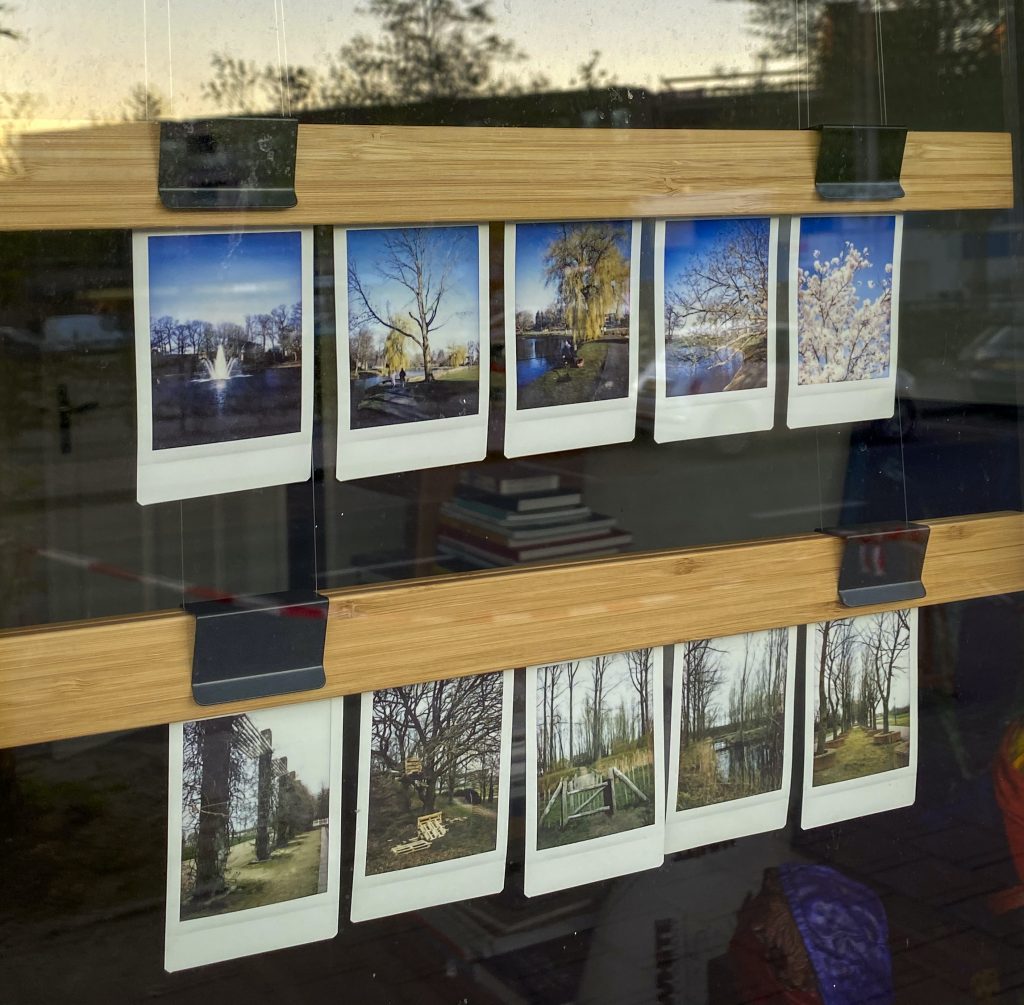10 photos printed and displayed in a window