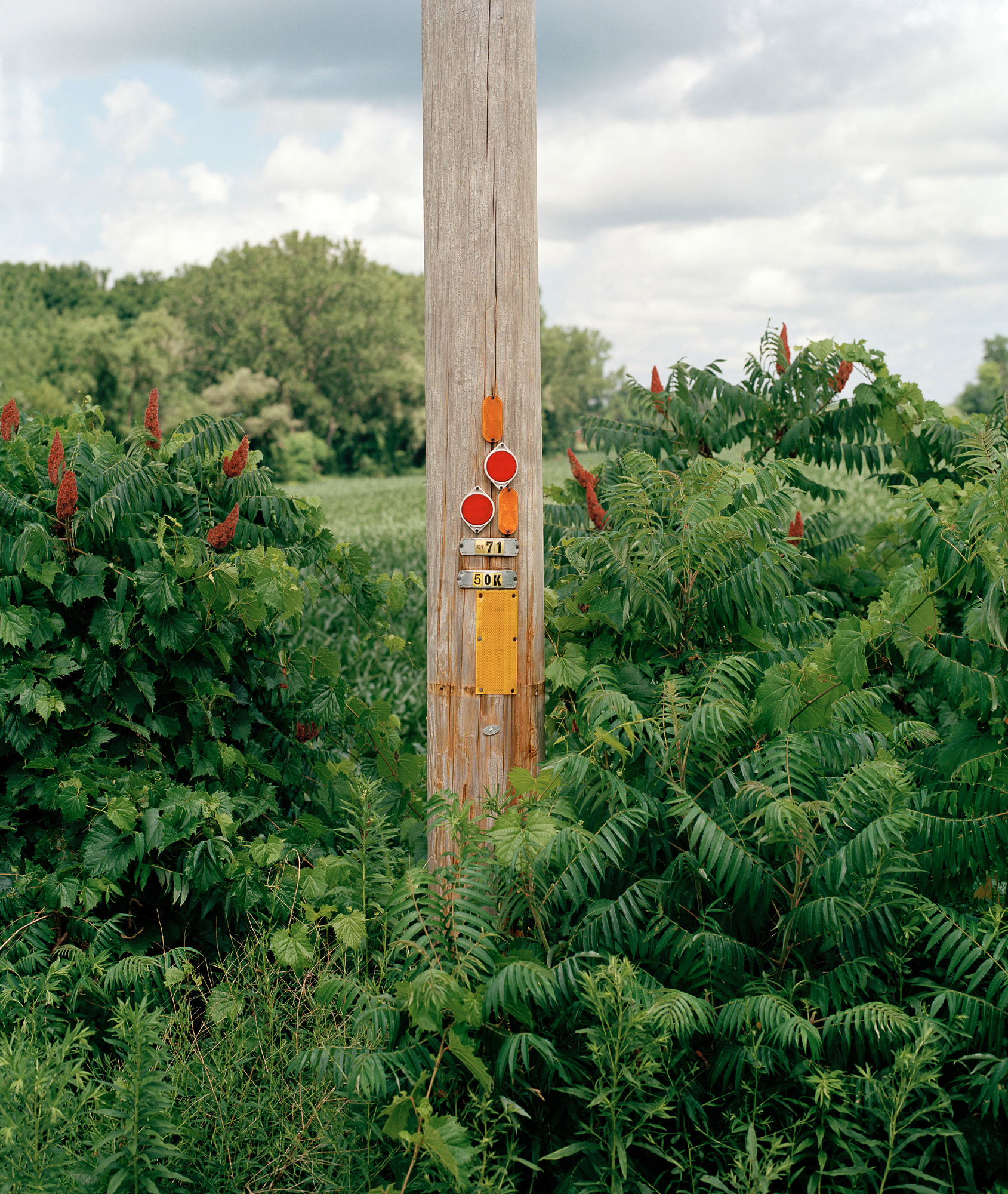 Power Line Pole with overgrown grass