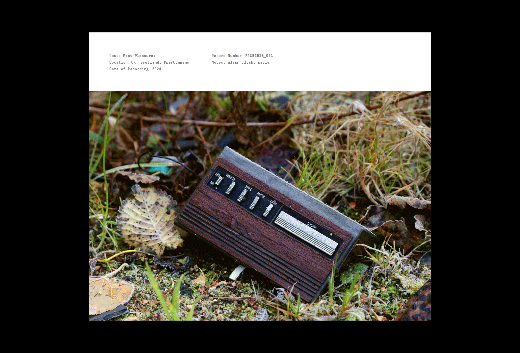 Radio decaying on the ground