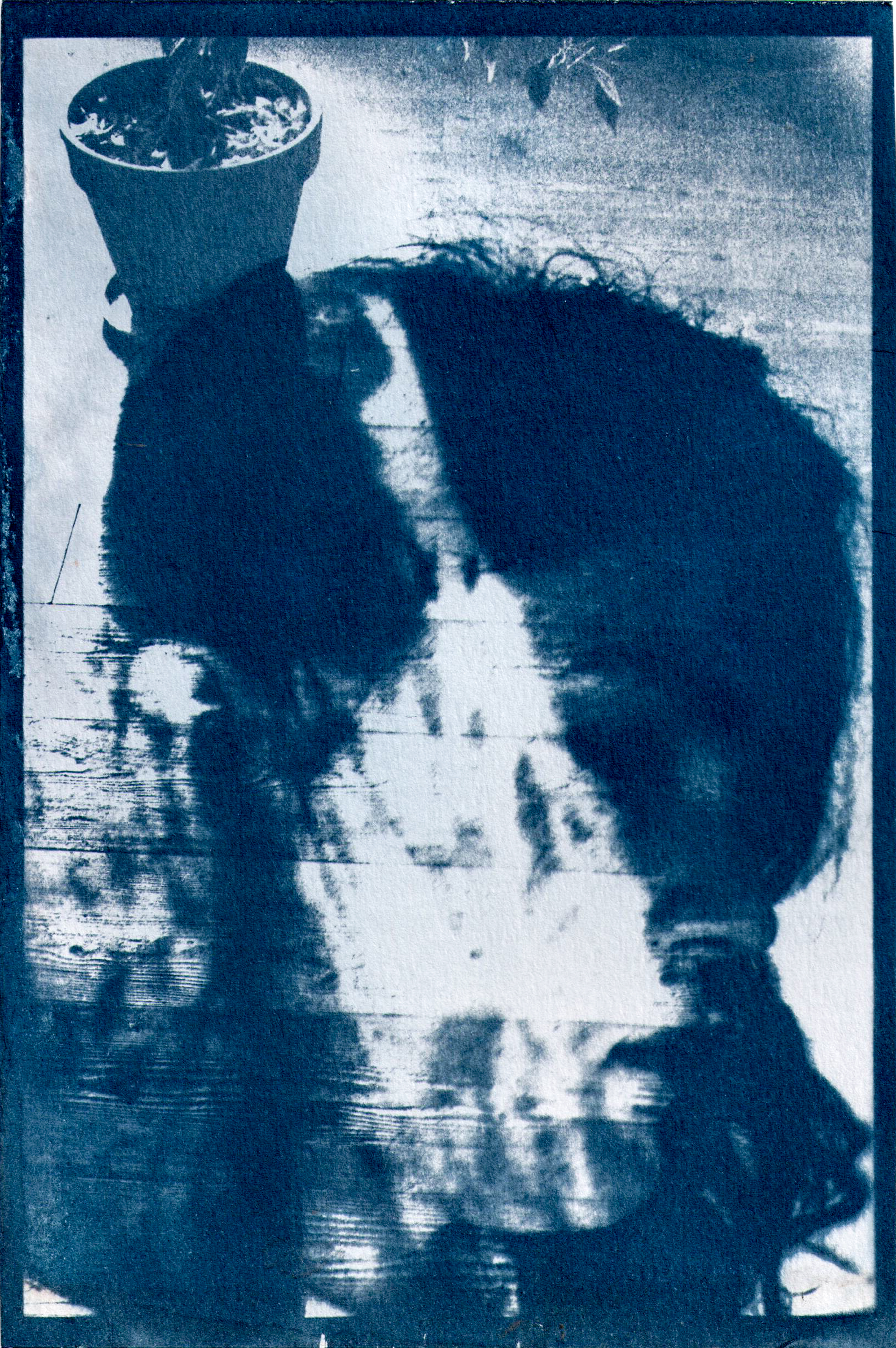 Side profile photo, double exposed of a female with shadows of plant leaves on a wood floor